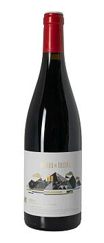Tempranillo ( Sierra de Tolono ) 2023