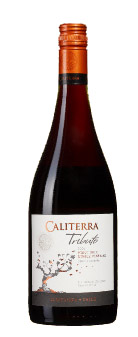 Pinot Noir Tributo ( Viña Caliterra ) 2009